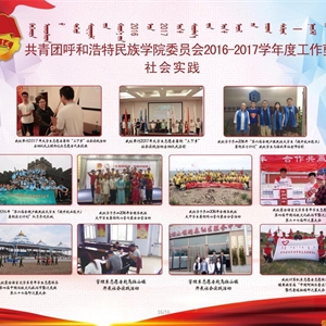 2017年度團委工作匯編